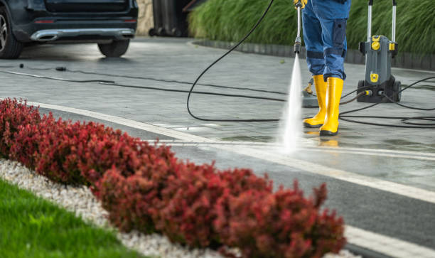 Best Driveway Pressure Washing  in Elwood, NY